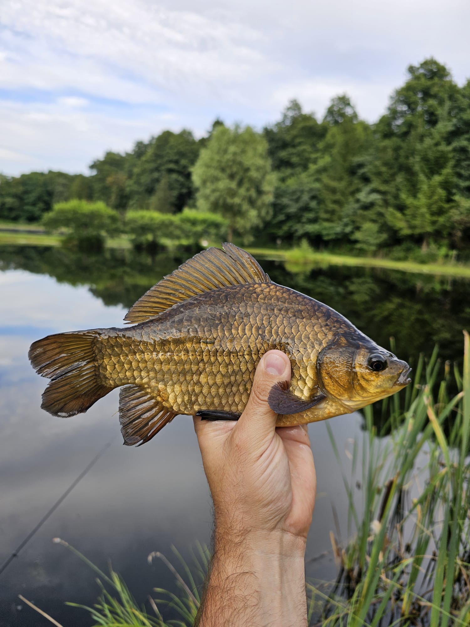 Sezon 2025 WhatsApp 110